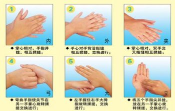 <strong><font color='#FF6633'>六部洗手法示意图</font></strong>