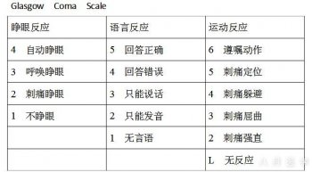 严重创伤影像学检查快速诊疗流程