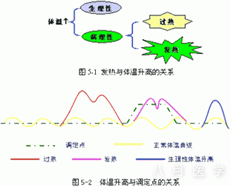 理论要点之内科学：发热