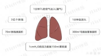 绝了！血气分析学了又忘？这4大问题是时候说清了！