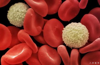 血常规真的能区分细菌感染和病毒